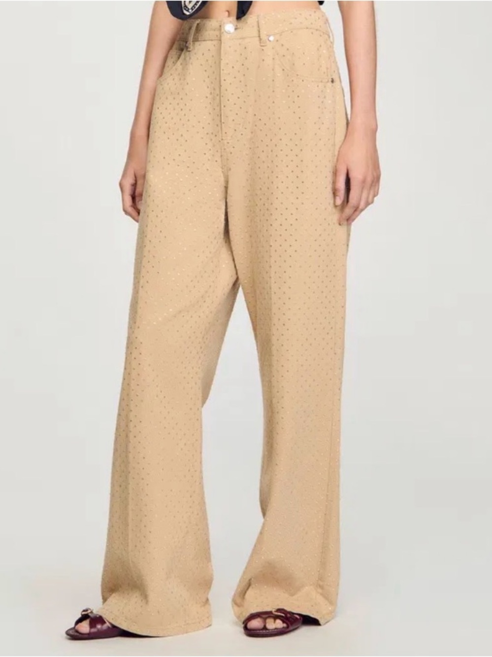 Sandro Wide-Leg Beige Embellished Pants